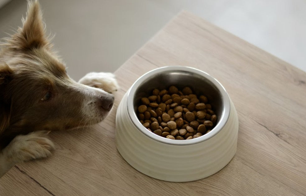 Dog Food